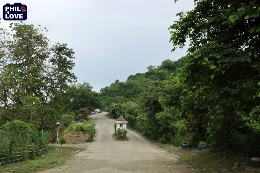 img.jpg